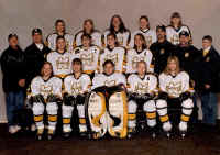 KWings01-02s.jpg (132556 bytes)